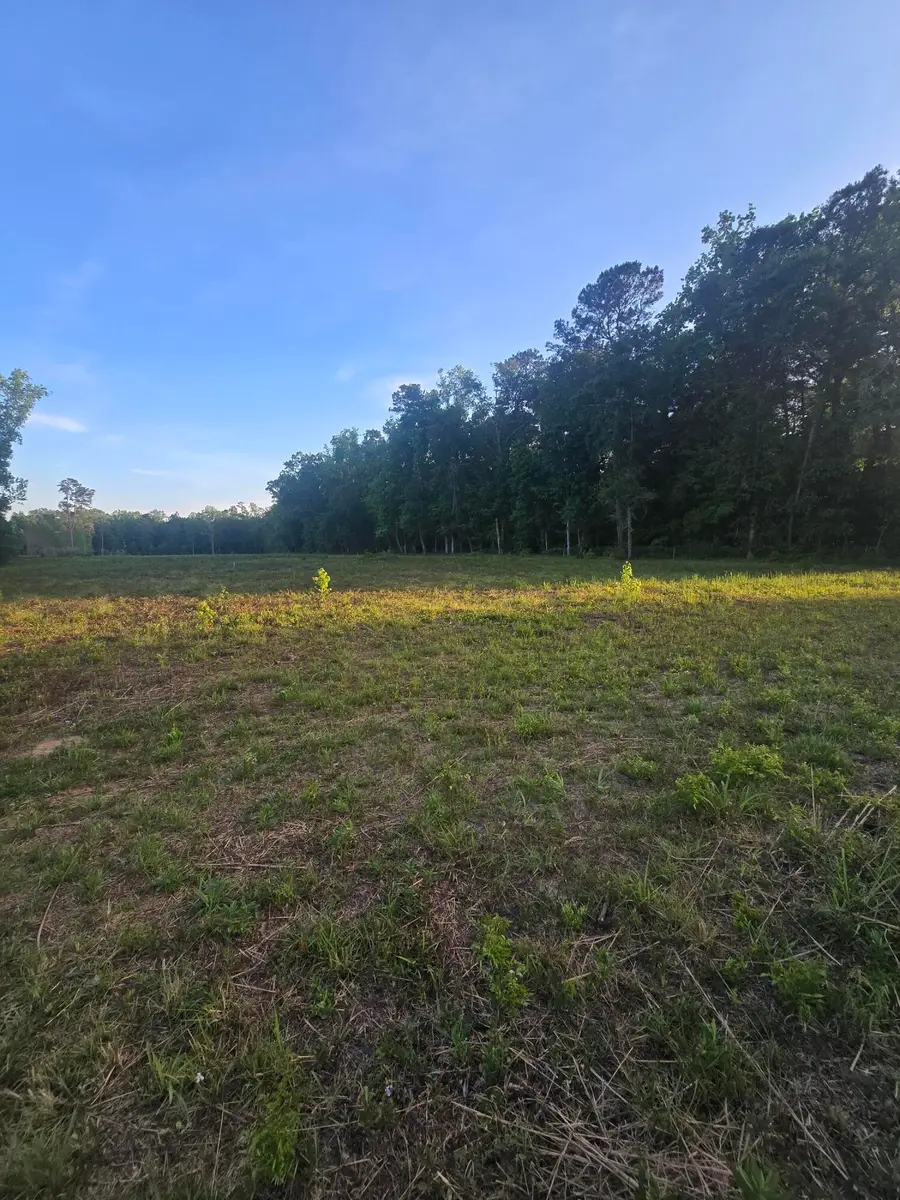 00 Central Avenue, Summerville, SC 29483 - #3