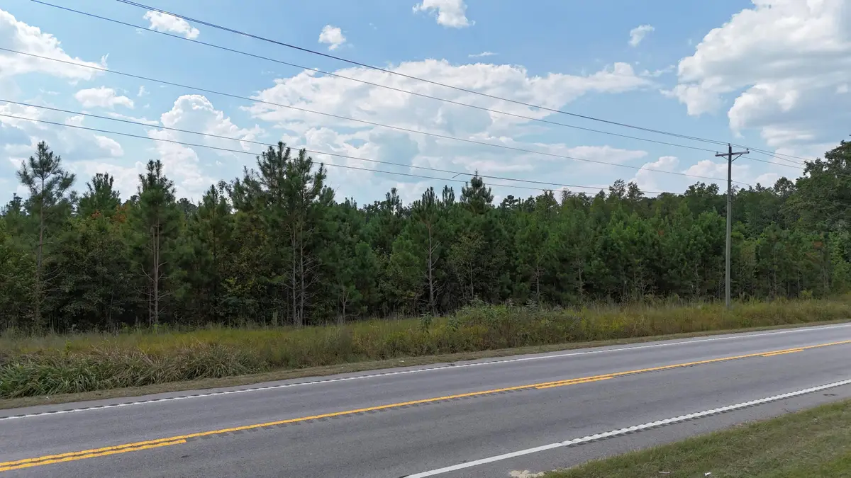 00 Old Number 6 Hwy, Elloree, SC 29047 - #1