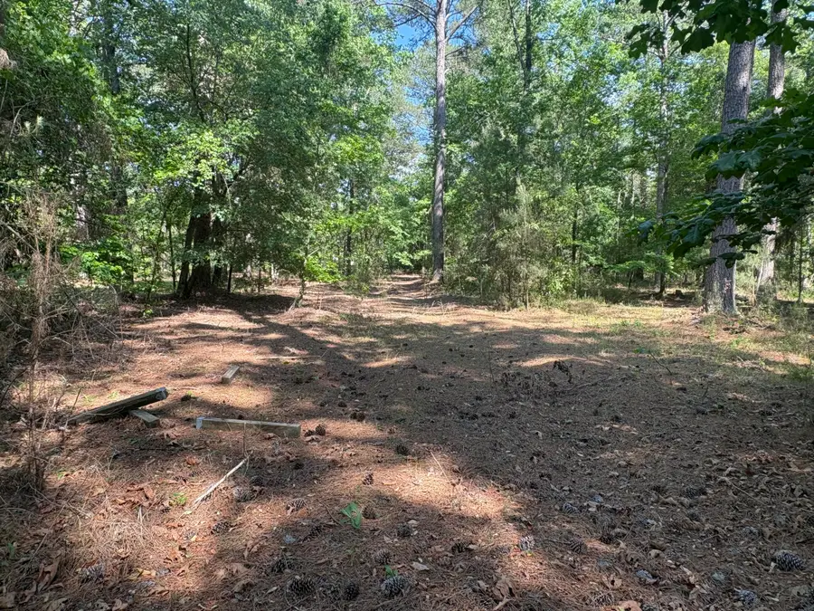 00 Clubhouse Road, Ravenel, SC 29470 - #2