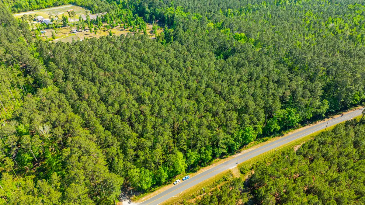0 Crews Cemetery Road, Varnville, SC 29944 - #1