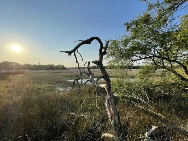 8468 Chisolm Plantation Road, Edisto Island, SC 29438