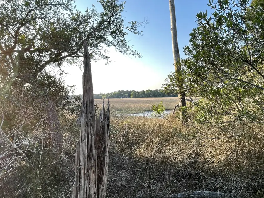 8468 Chisolm Plantation Road, Edisto Island, SC 29438 - #2