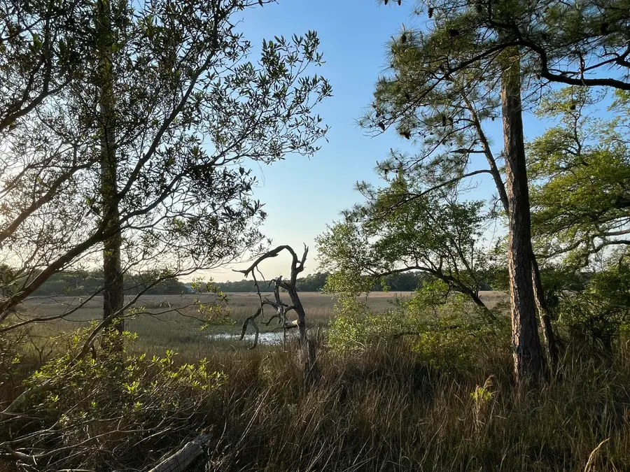 8468 Chisolm Plantation Road, Edisto Island, SC 29438 - #3
