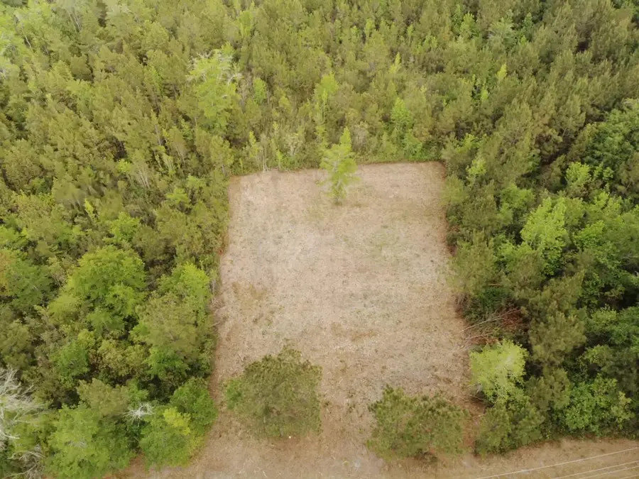 0 Mt Carmel Road, Walterboro, SC 29488 - #2