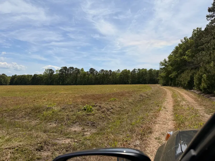 0 Cottage Lane, Saint Stephen, SC 29479 - #2