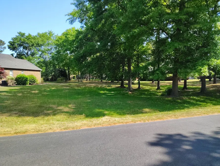 218 Ridge Lake Drive, Manning, SC 29102 - #3