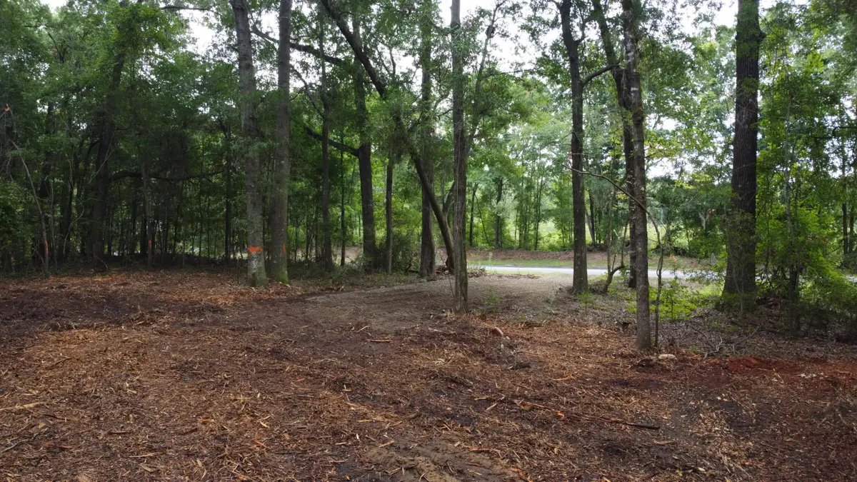 6 Francis Marion Boulevard, Summerton, SC 29148 - #1