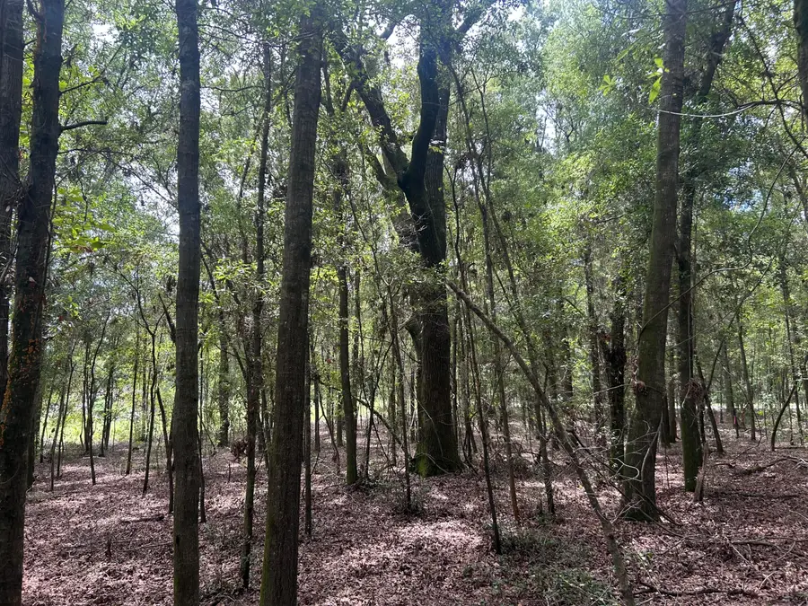 6 Francis Marion Boulevard, Summerton, SC 29148 - #3