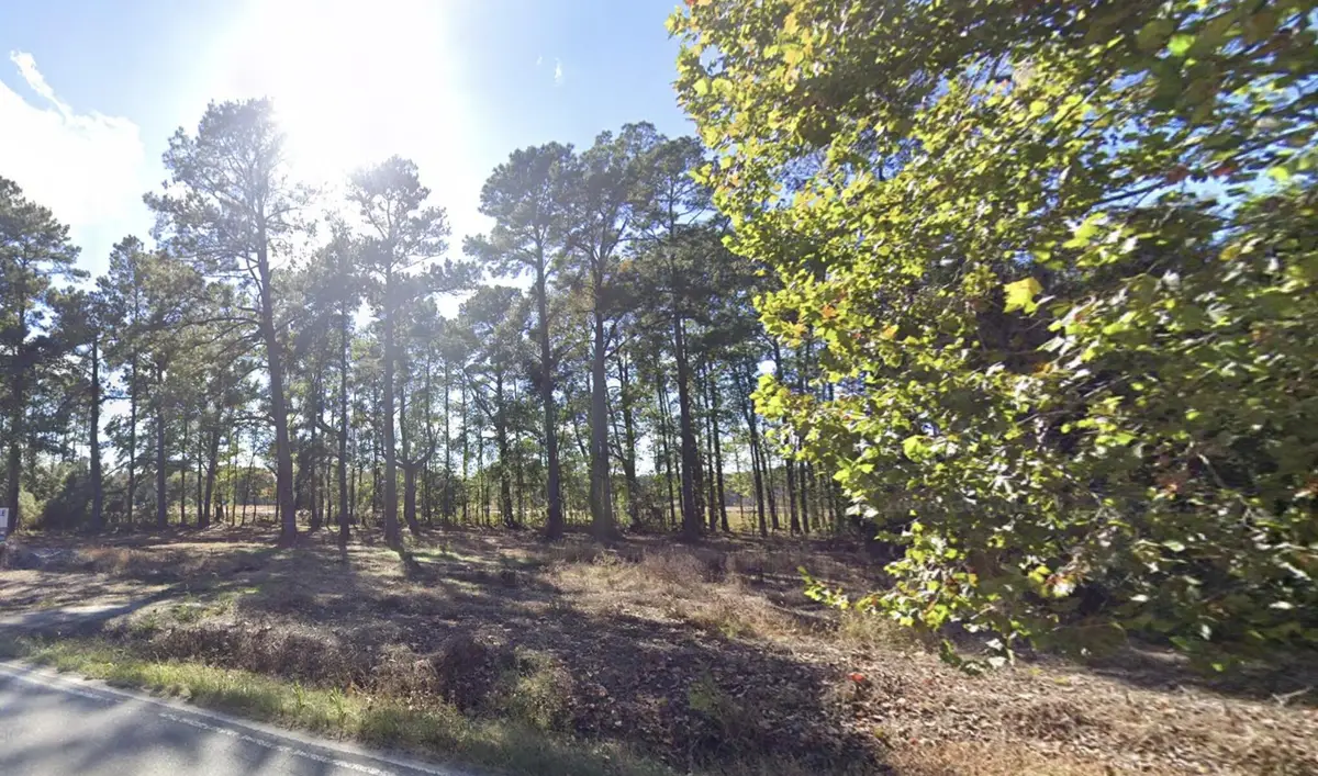 767 Orangeburg Road, Summerville, SC 29483 - #1