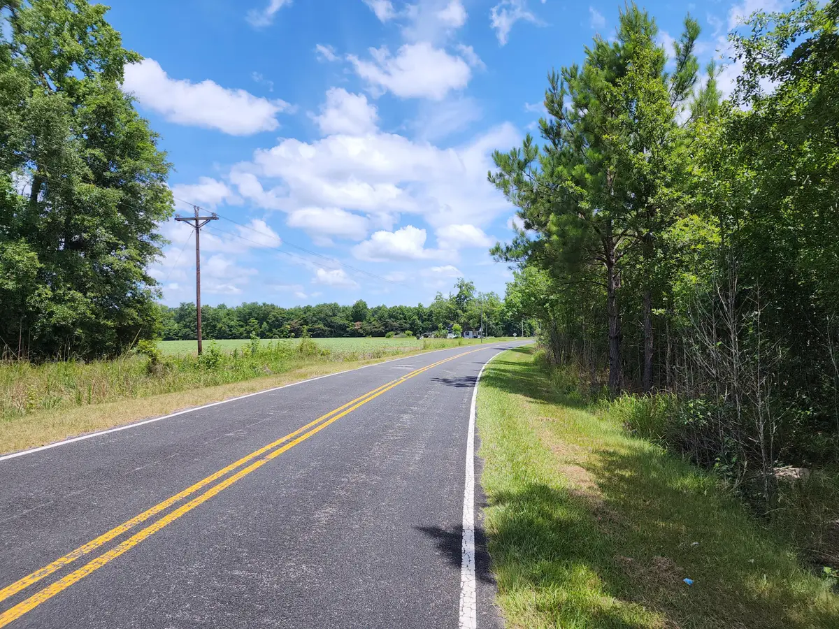 019 Thomas Kate Road, Dorchester, SC 29437 - #1