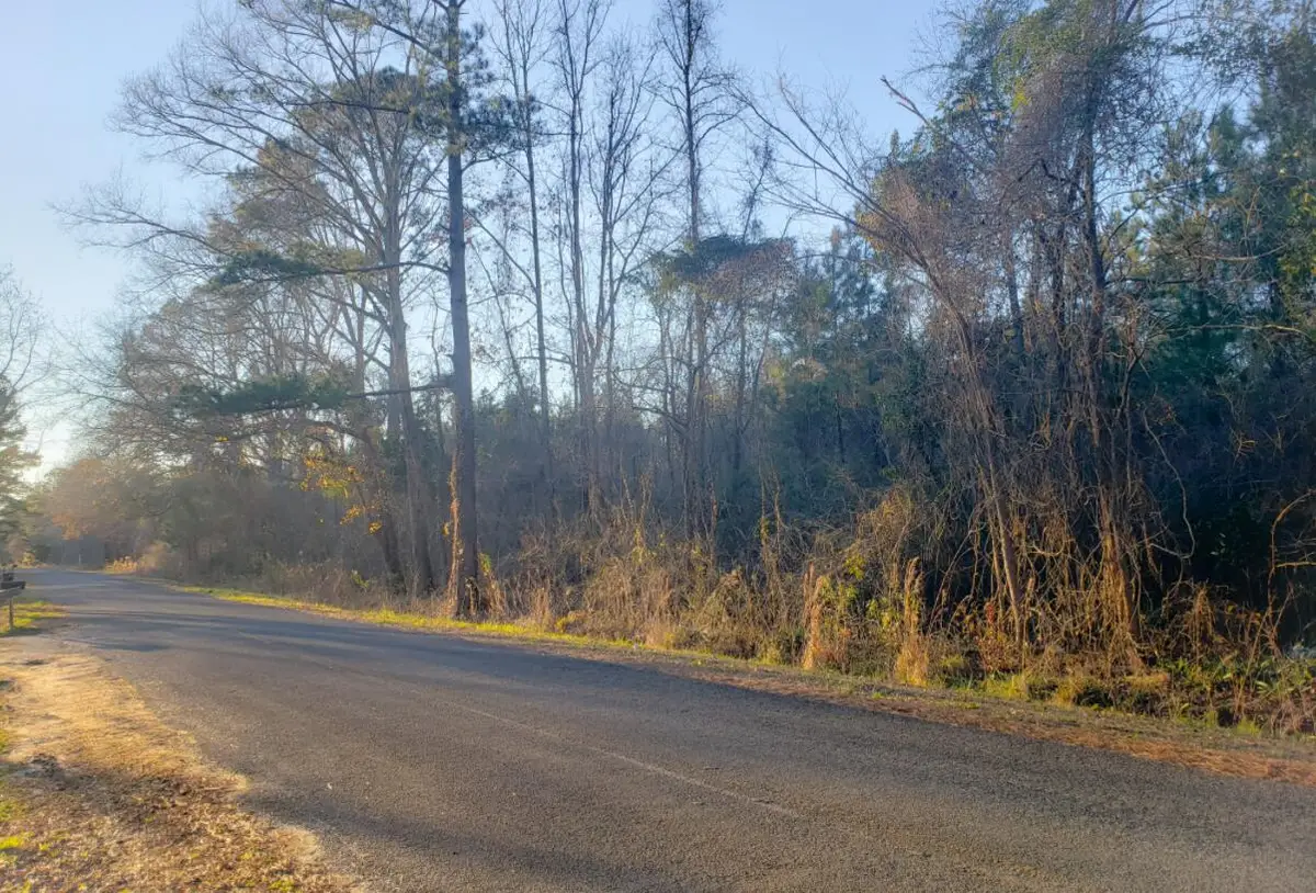 0000 Murraysville Road, Moncks Corner, SC 29461 - #1