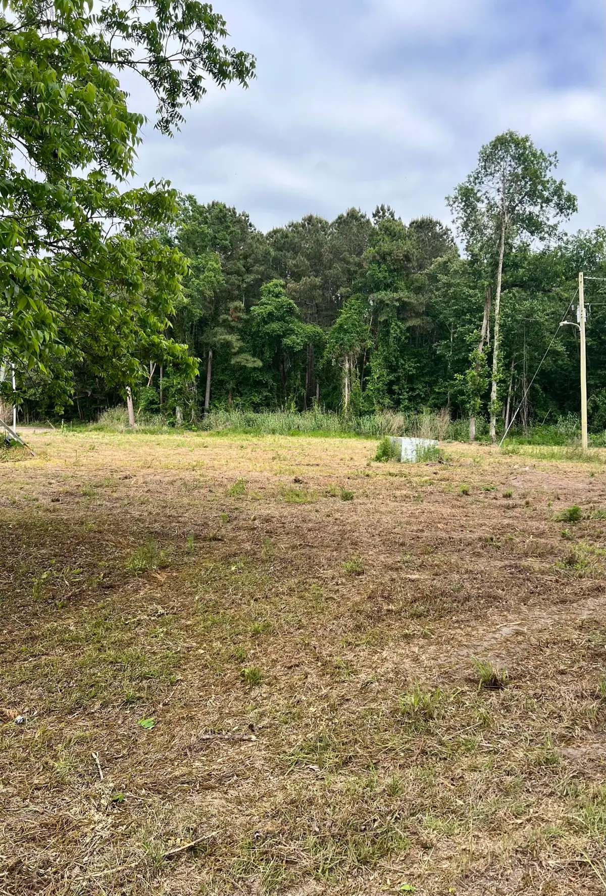 193 Evergreen Lane, Saint George, SC 29477 - #1