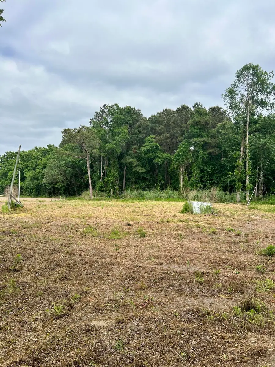 193 Evergreen Lane, Saint George, SC 29477 - #3