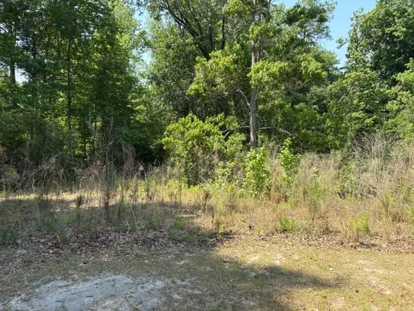 3660 Foxfire Lane, Orangeburg, SC 29118