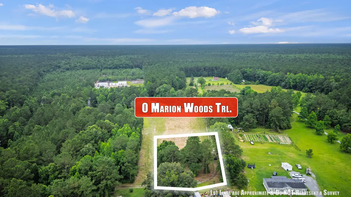 1 Marion Woods Trail, Bonneau, SC 29431 - #1