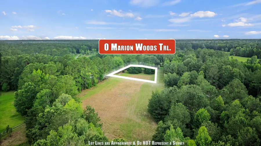1 Marion Woods Trail, Bonneau, SC 29431 - #2