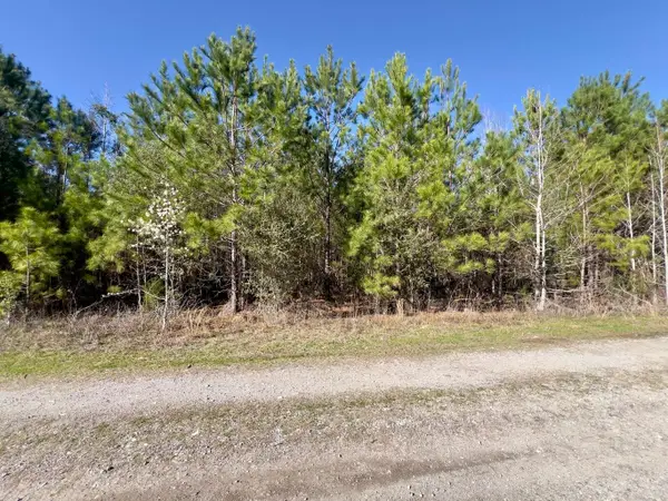 4 Devine Way, Cross, SC 29436