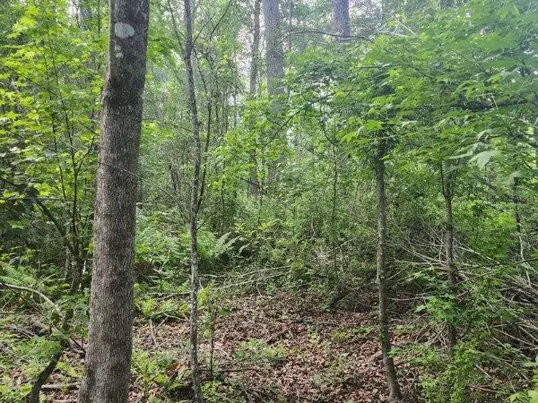 000 Broxton Bridge Road, Bamberg, SC 29003