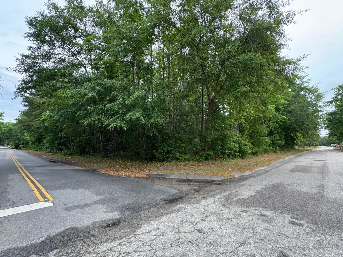 00 Ellis Avenue, Estill, SC 29918 - #1