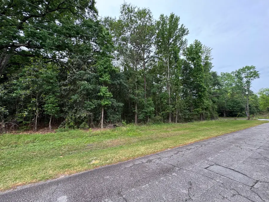 00 Ellis Avenue, Estill, SC 29918 - #2