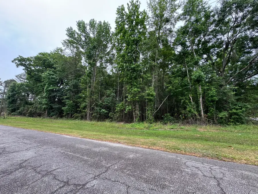 00 Ellis Avenue, Estill, SC 29918 - #3