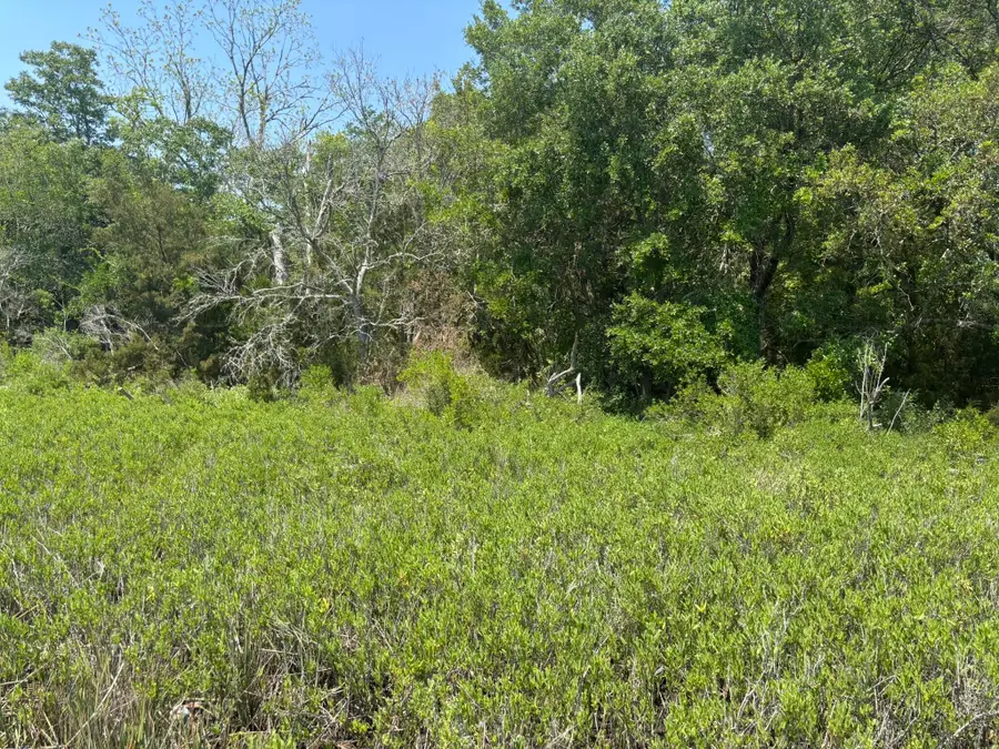 2035 Sol Legare Road, Charleston, SC 29412 - #3