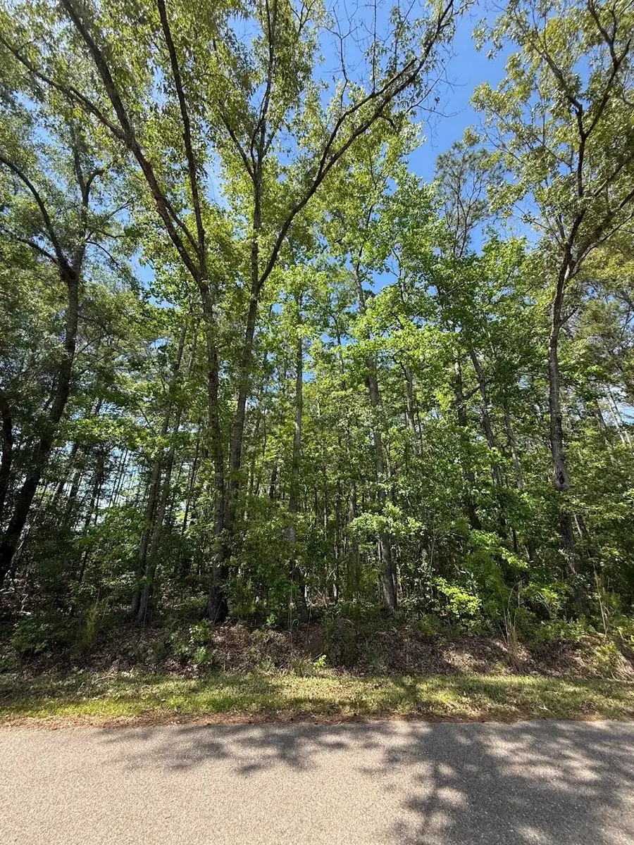 0 Moffett Road, Hollywood, SC 29449 - #3