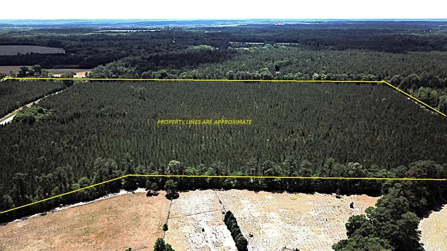 00 New Hope Road, Saint Matthews, SC 29135 - #2