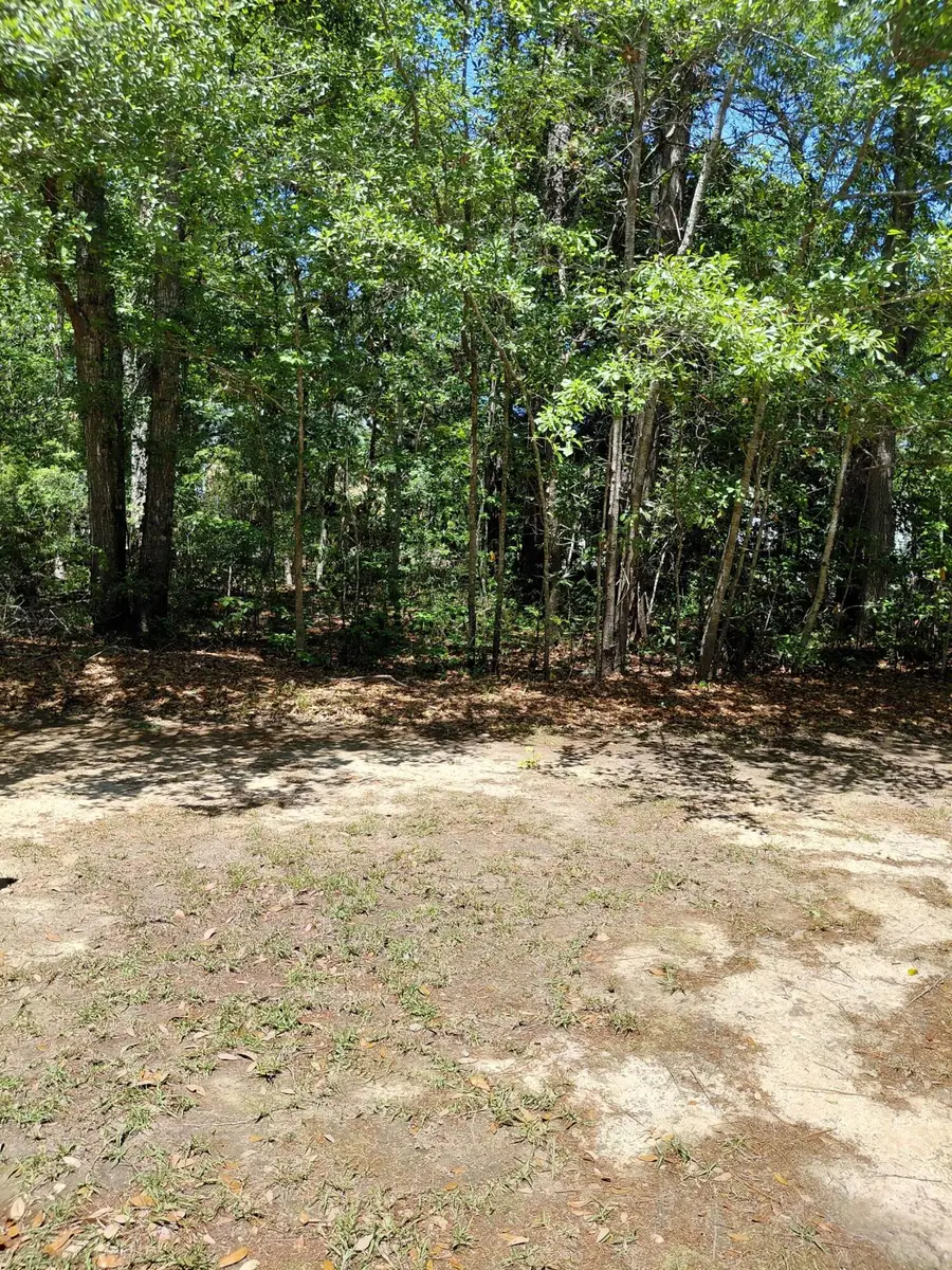 316 Hundred Oaks Parkway, Summerville, SC 29483 - #2