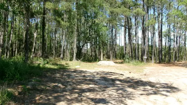 1108 Saint Thomas Island Drive, Wando, SC 29492