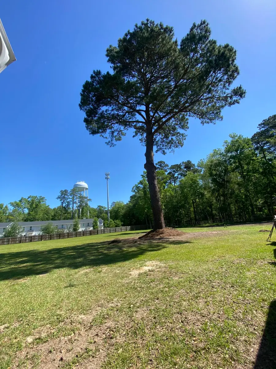 251 Judith Drive, Summerville, SC 29485 - #3
