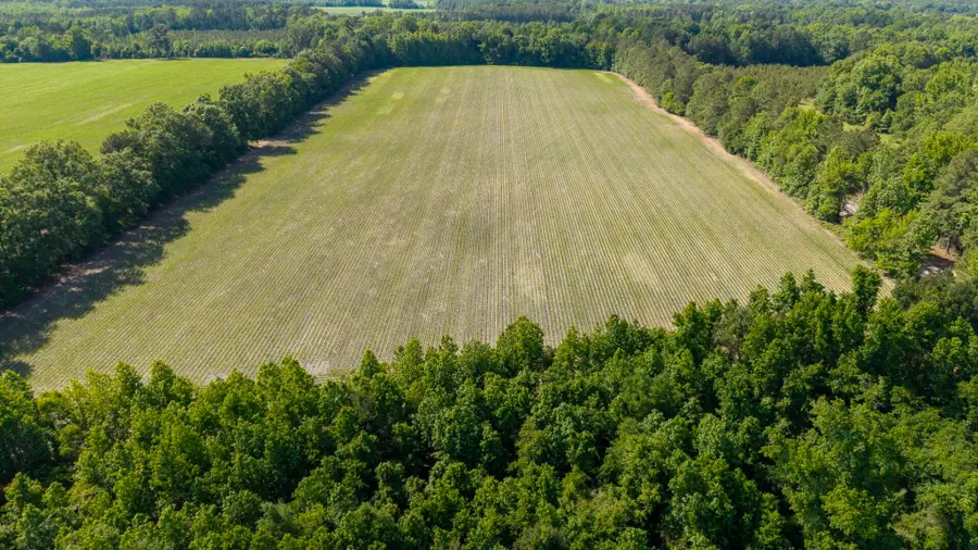 155-Ac Westberry Drive, Vance, SC 29163 - #2