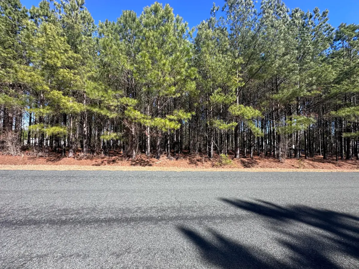 00 Horses Neck Road #Lot 17a, Swansea, SC 29160 - #1