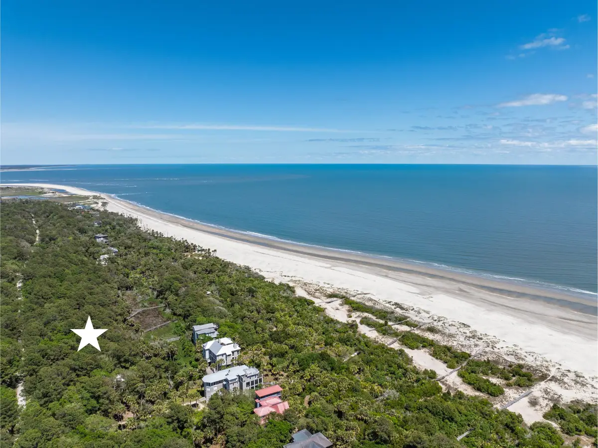 287 Pelican Flight Drive #Lot 14, Dewees Island, SC 29451 - #1