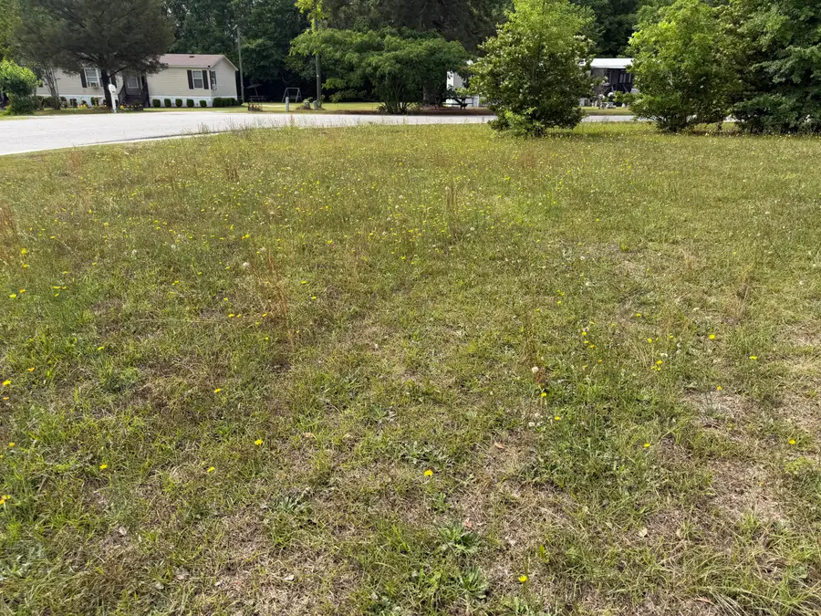 4616 Easy Street, Orangeburg, SC 29118 - #2