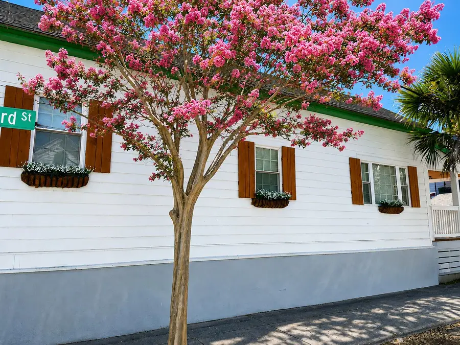 33 Sheppard Street, Charleston, SC 29403 - #2
