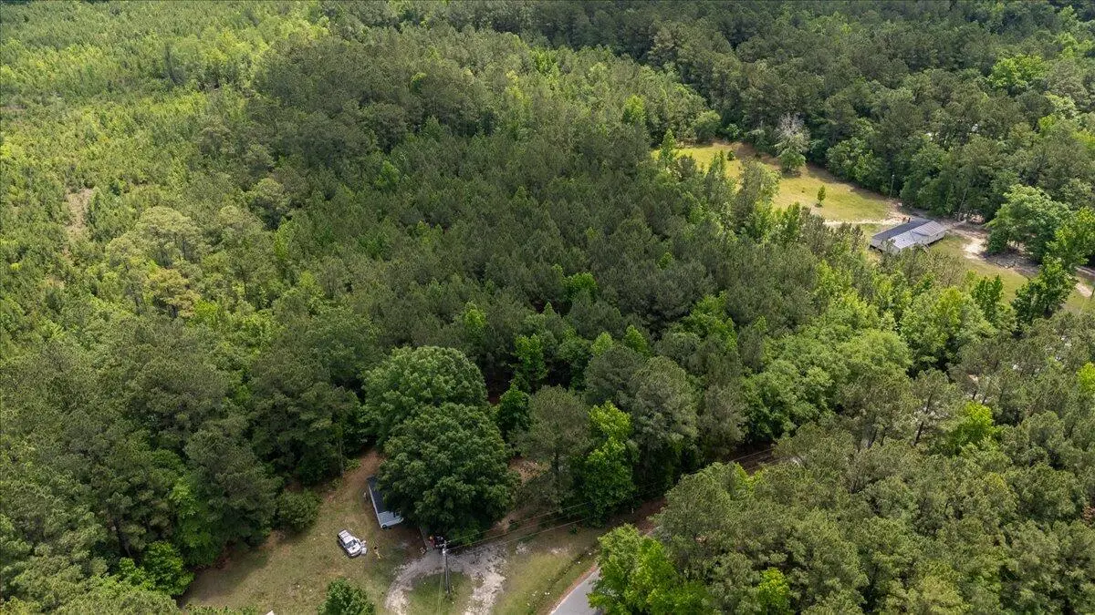 00 Deneaux Road, Rowesville, SC 29133 - #1