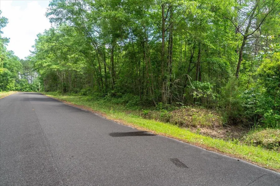 00 Deneaux Road, Rowesville, SC 29133 - #2