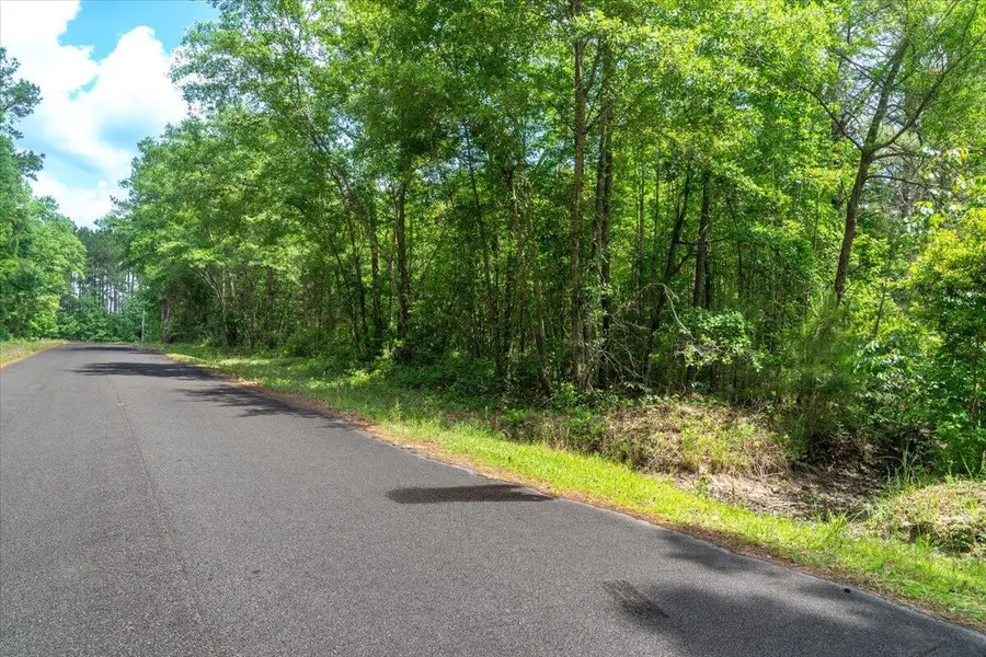 00 Deneaux Road, Rowesville, SC 29133 - #3