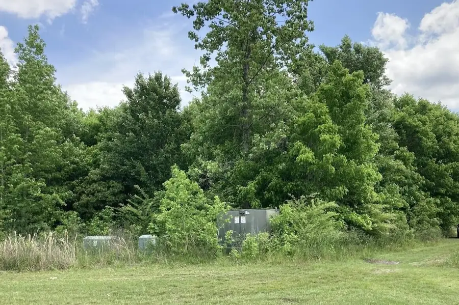 423 Furman Lane, Ladson, SC 29456 - #3