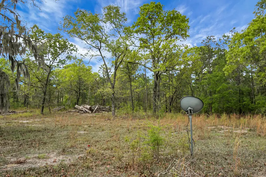 202 Belmont Drive, Walterboro, SC 29488 - #3