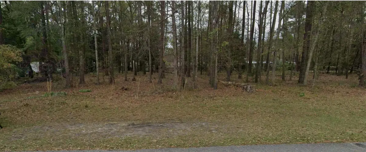 0-3 Hazel Street, Walterboro, SC 29488 - #1