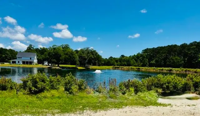 2930 Lodge Berry Lane, Johns Island, SC 29455 - #3