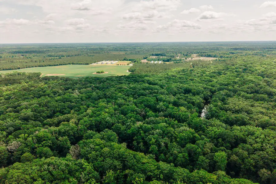 0 Parnel Road, Cope, SC 29038 - #3