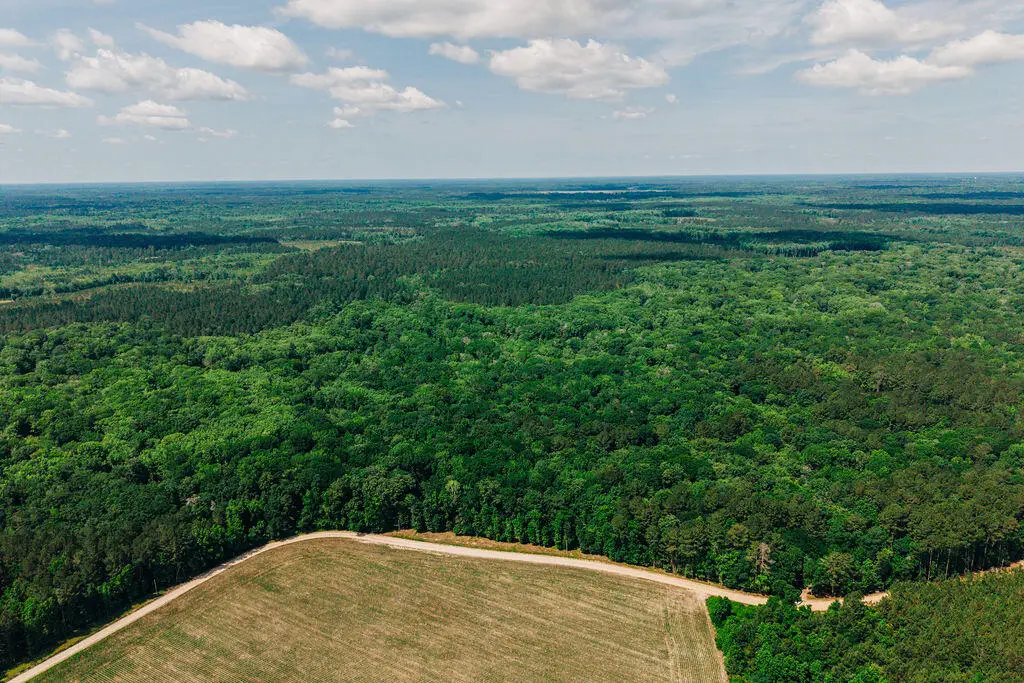 1 Parnel Road, Cope, SC 29038 - #1