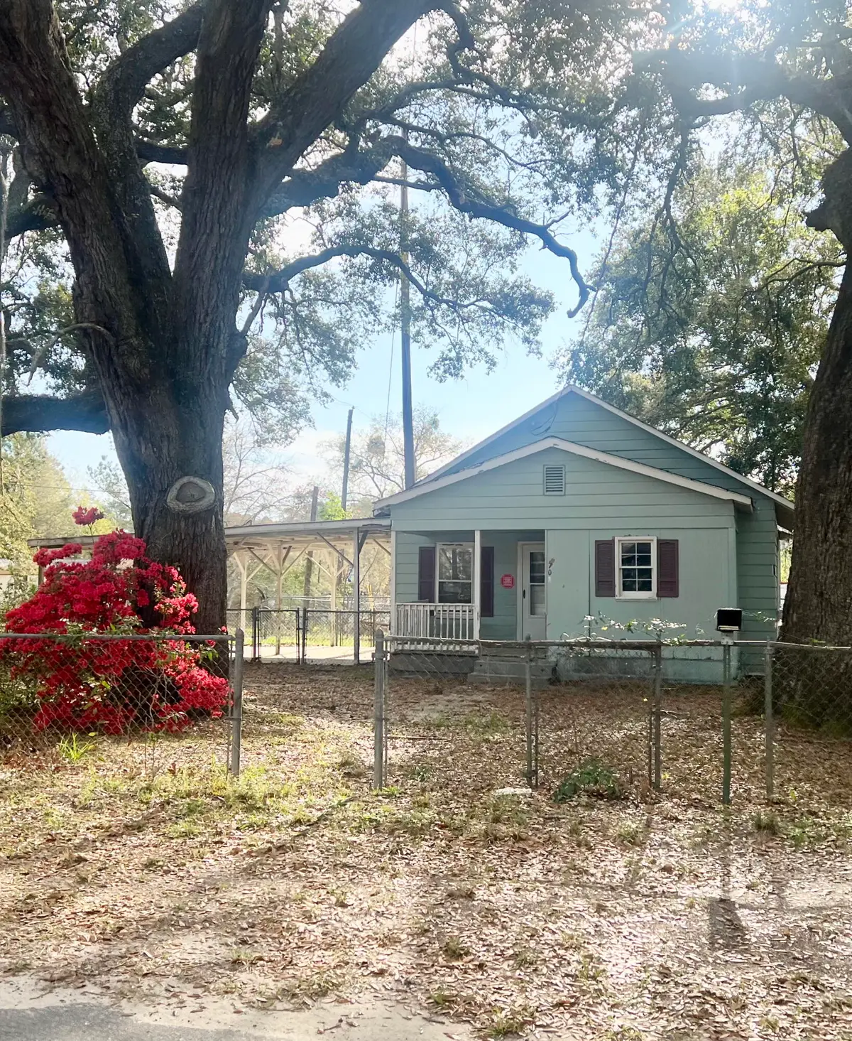708 Francis Street, Walterboro, SC 29488 - #1