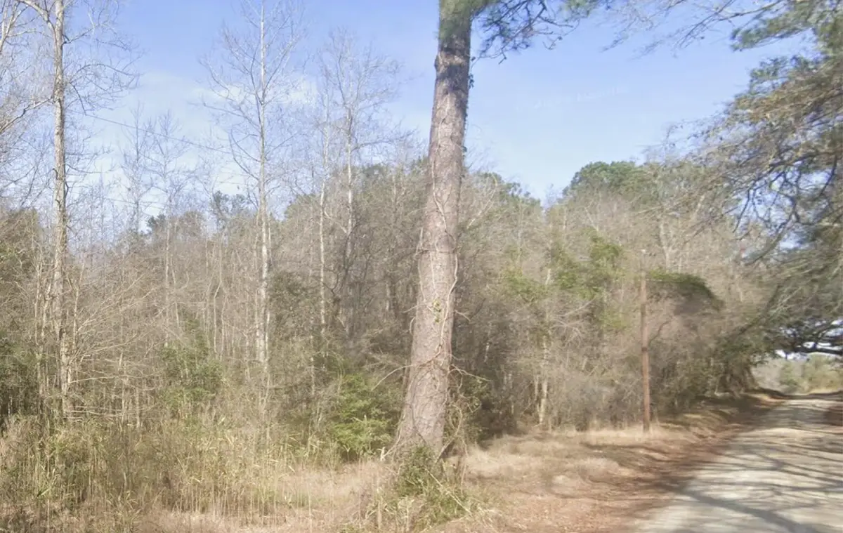 0 Snake Branch Road, Round O, SC 29474 - #1