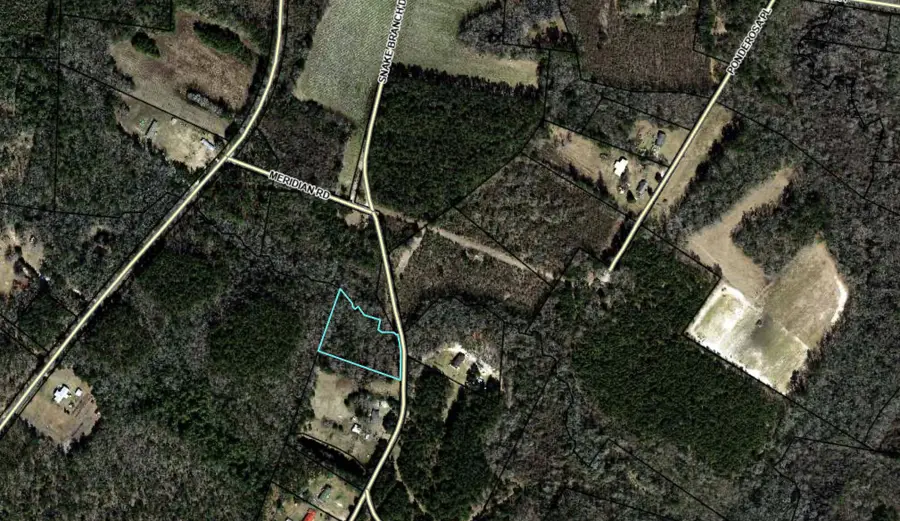 0 Snake Branch Road, Round O, SC 29474 - #2