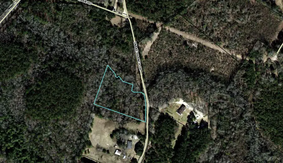 0 Snake Branch Road, Round O, SC 29474 - #3