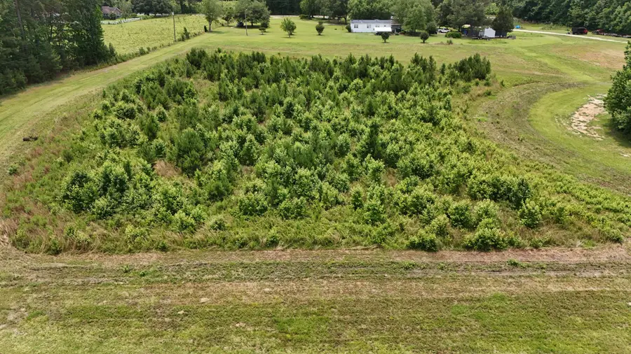 Tbd Dawson Branch Road, Summerville, SC 29483 - #2